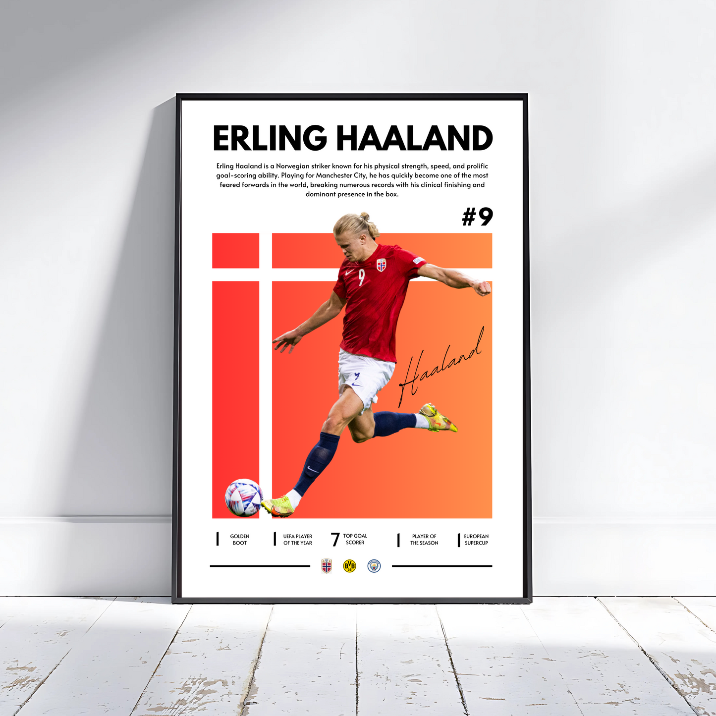 ERLING HAALAND NORWAY COLOUR