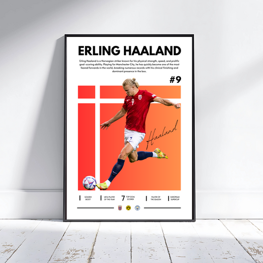 ERLING HAALAND NORWAY COLOUR
