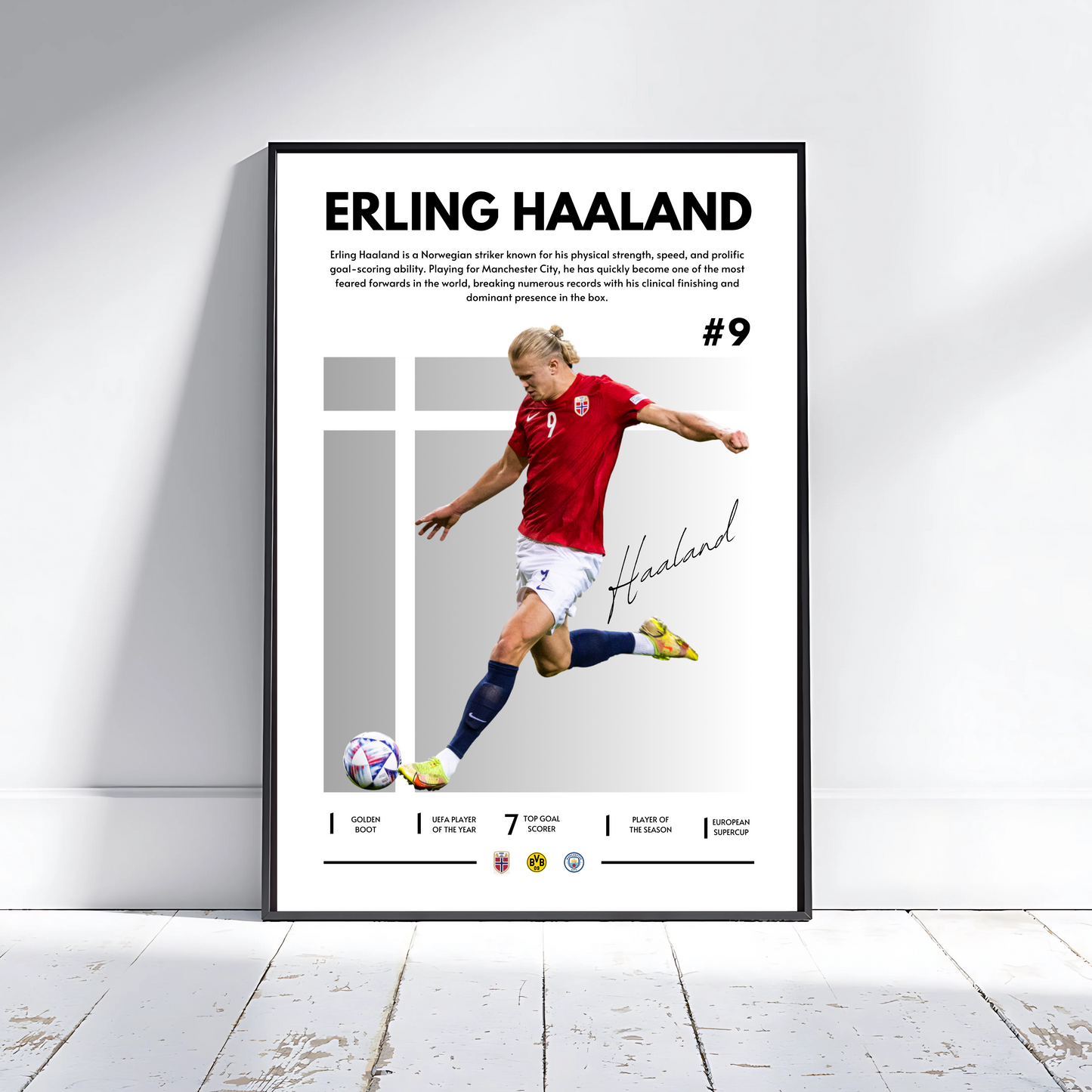 ERLING HAALAND NORWAY GREY