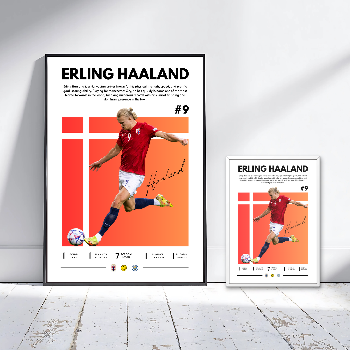 ERLING HAALAND NORWAY COLOUR