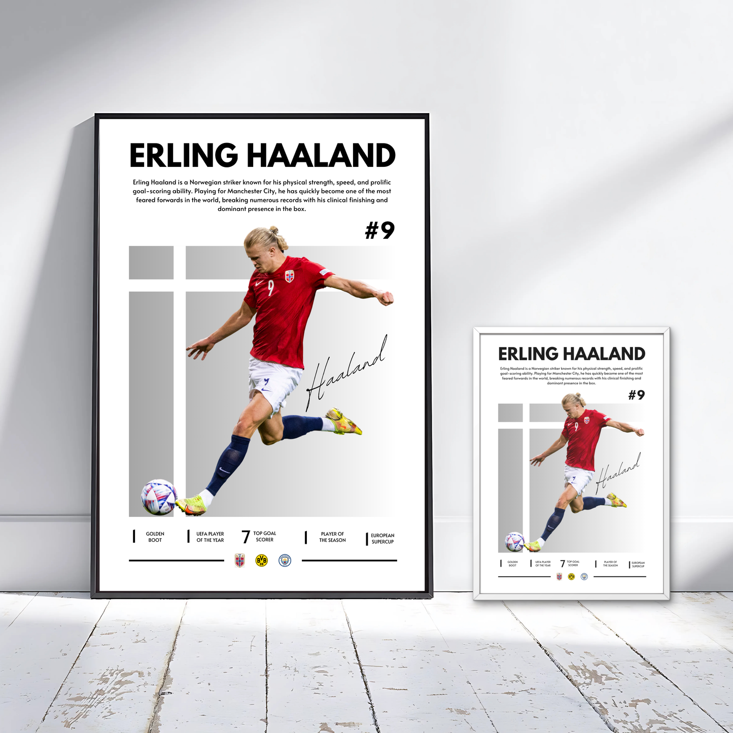 ERLING HAALAND NORWAY GREY
