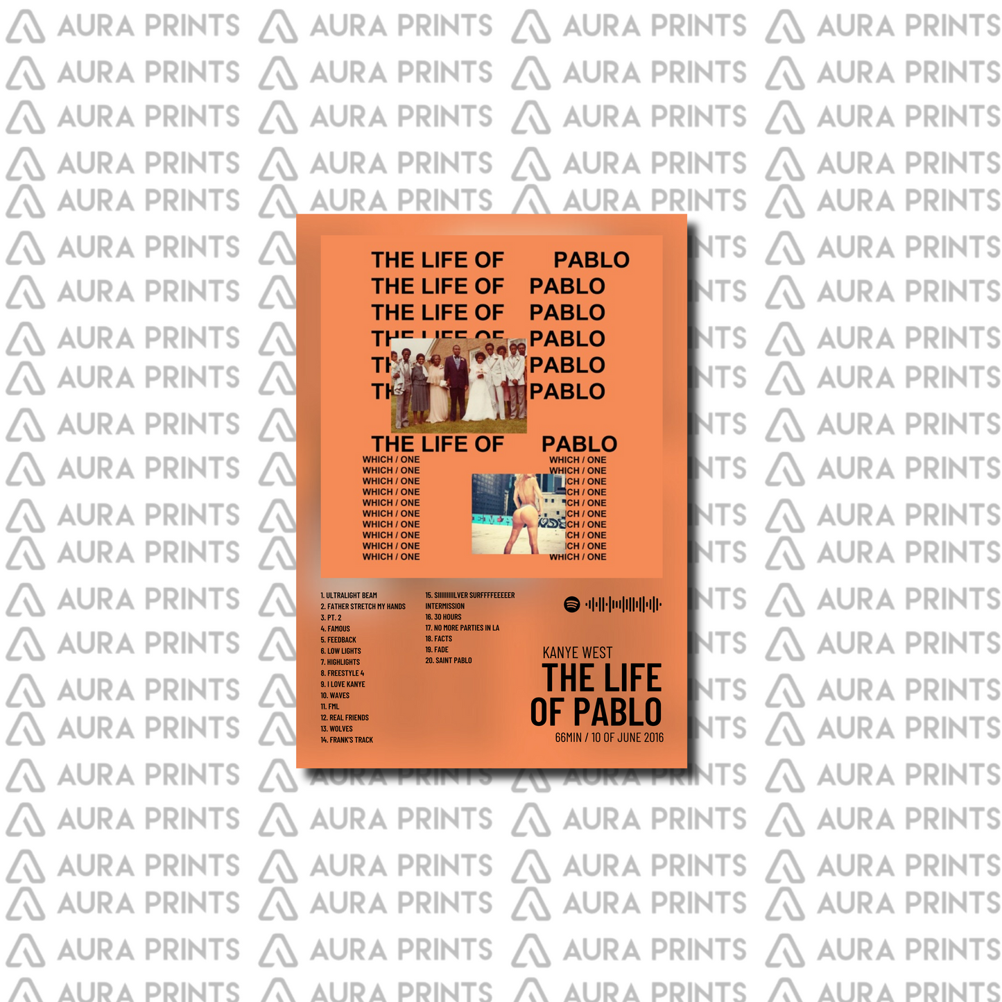 THE LIFE OF PABLO