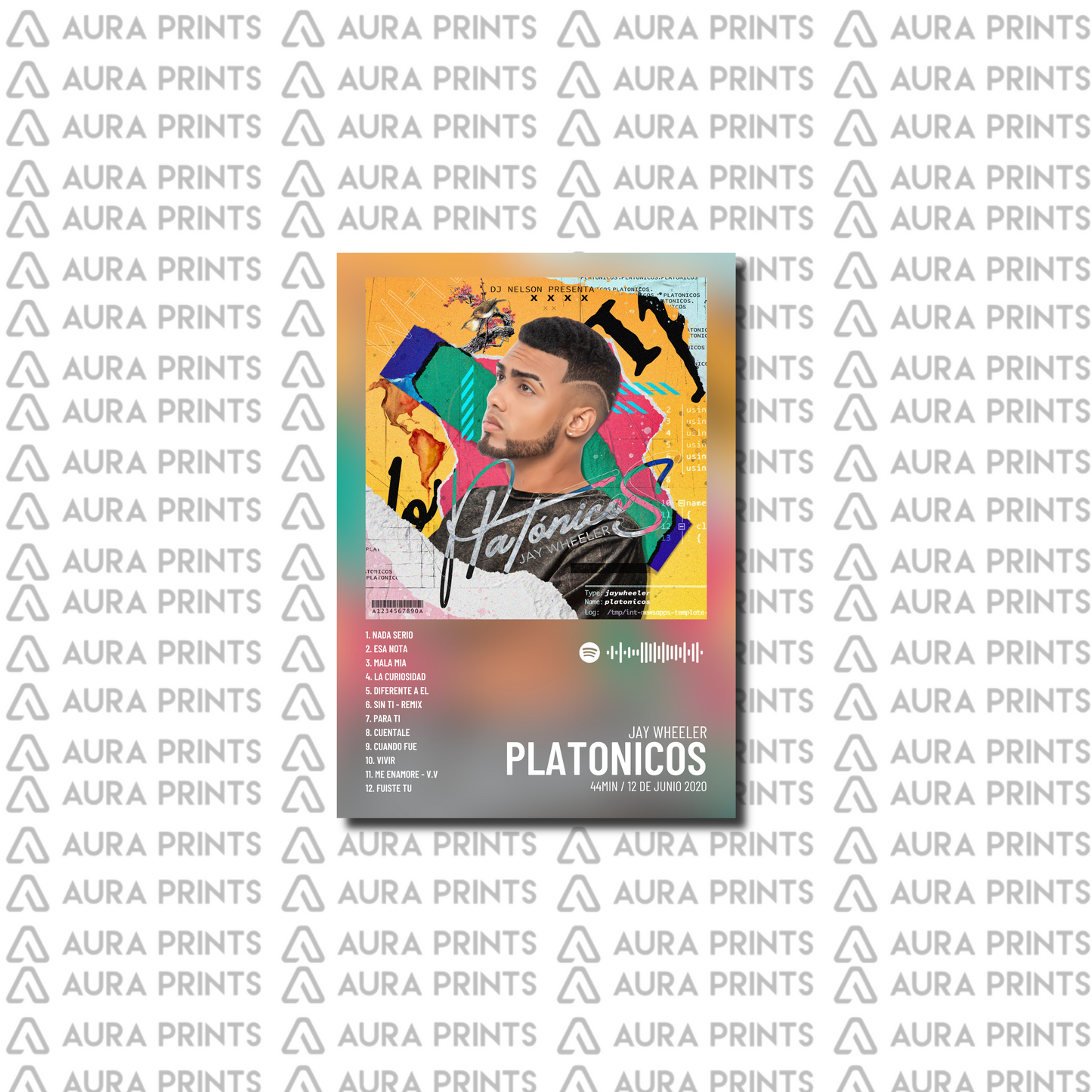 PLATONICOS